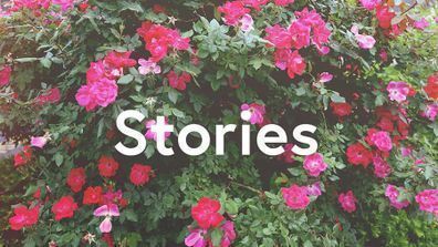 19 Stories of Customer Loyalty That Completely Changed the Game