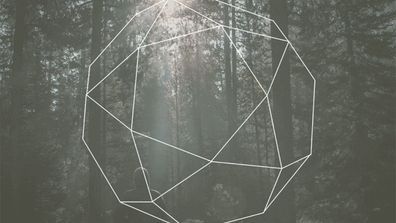 Without Customer Insight We're Just Lost in Data