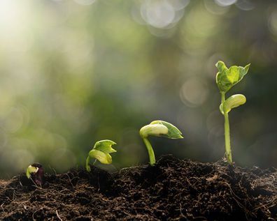Why a Changing Workforce Calls For a Changing Approach to Employee Insight