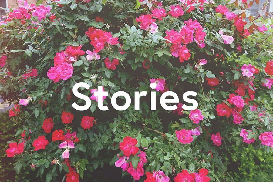 19 Stories of Customer Loyalty That Completely Changed the Game