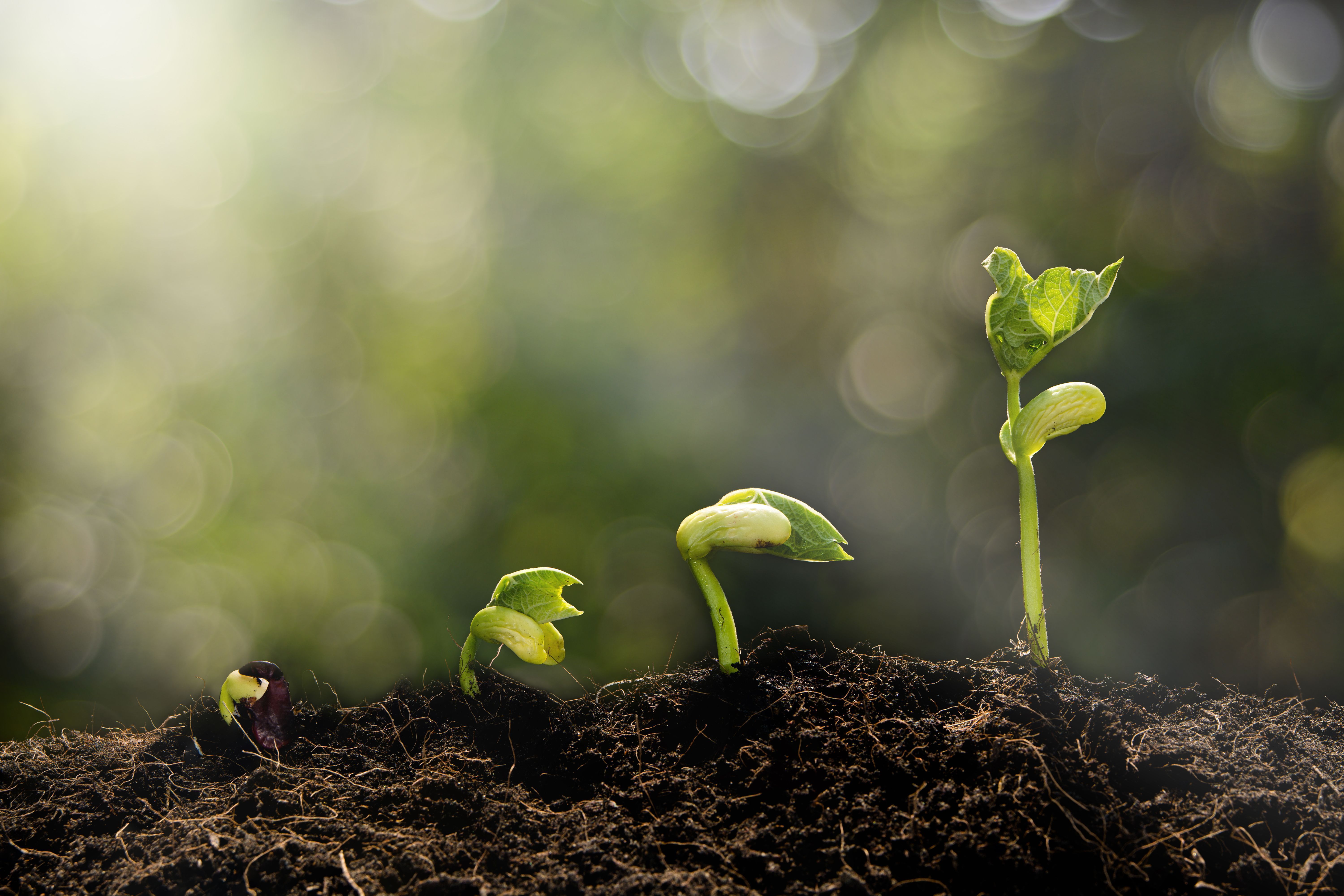 Why a Changing Workforce Calls For a Changing Approach to Employee Insight