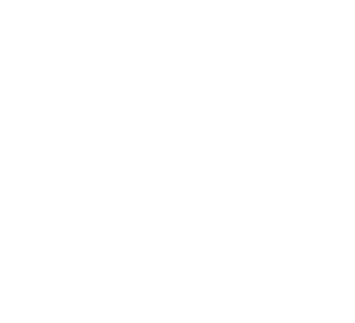 Ipsos Connect