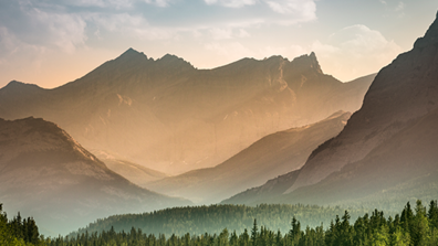 Eine Feedback-Landschaft als innovatives Instrument in modernen Organisationen