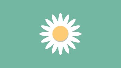 Questback „Spring“-Release bringt neue Module