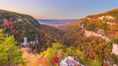 Creating an Agile Feedback Landscape That Works for Your Organization
