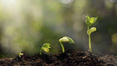 Why a Changing Workforce Calls For a Changing Approach to Employee Insight