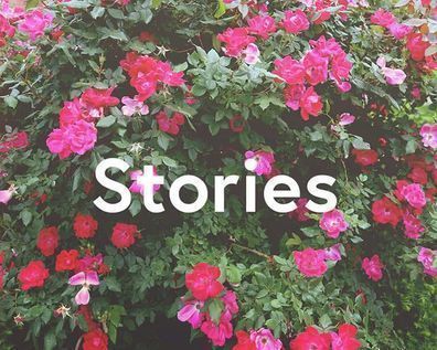 19 Stories of Customer Loyalty That Completely Changed the Game