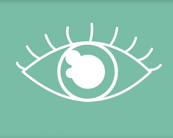 Questback Transforms Feedback Analysis With Flexible, Dynamic MySight Dashboard