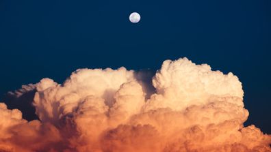 Questback embraces Oracle Cloud to widen access to leading experience management platform