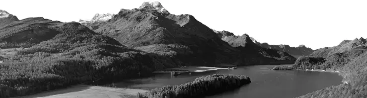 Feedback Management im Bildungsbereich erfolgreich umsetzen