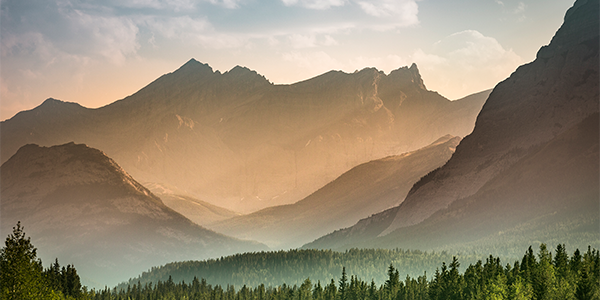 Feedback-Landschaften in resonanten Organisationen